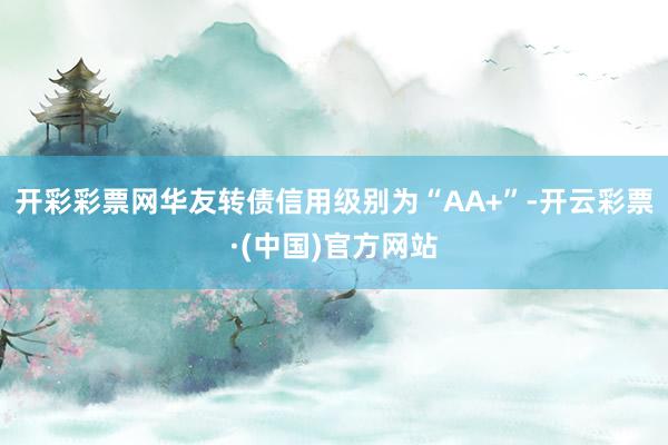 开彩彩票网华友转债信用级别为“AA+”-开云彩票·(中国)官方网站