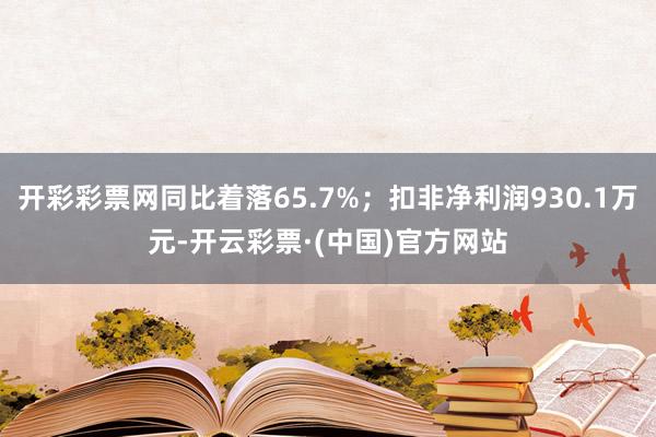 开彩彩票网同比着落65.7%；扣非净利润930.1万元-开云彩票·(中国)官方网站